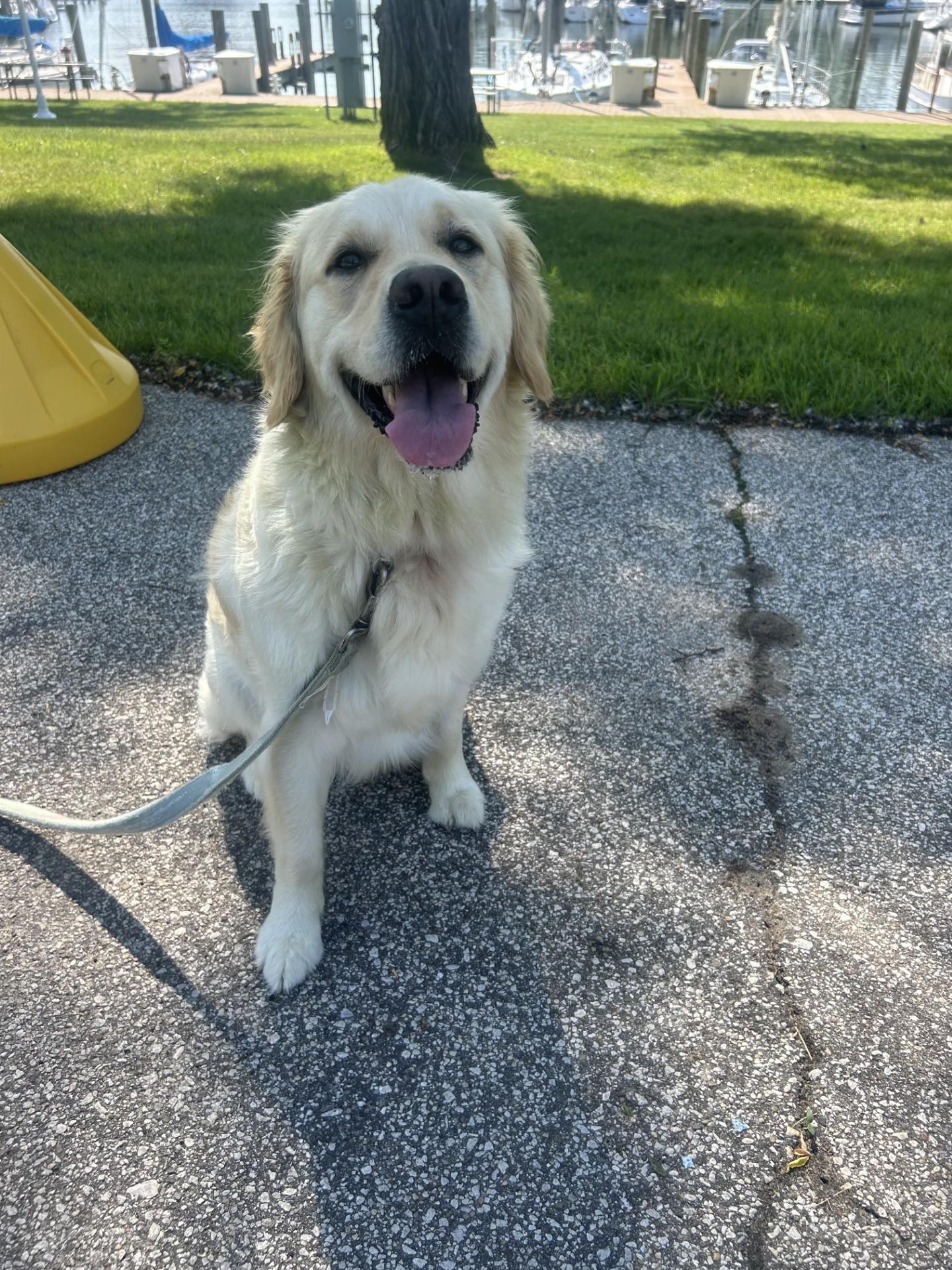 Meadow looking awesome